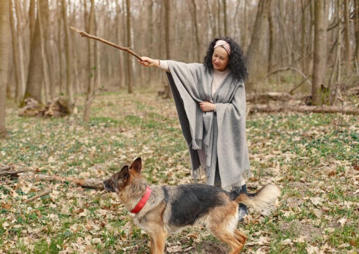 Photo of woman training her dog with a stick